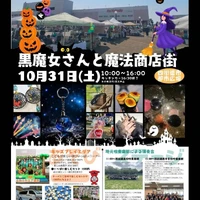 画像255